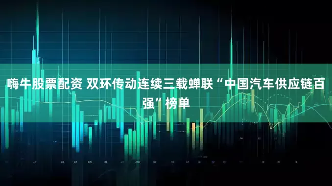 嗨牛股票配资 双环传动连续三载蝉联“中国汽车供应链百强”榜单