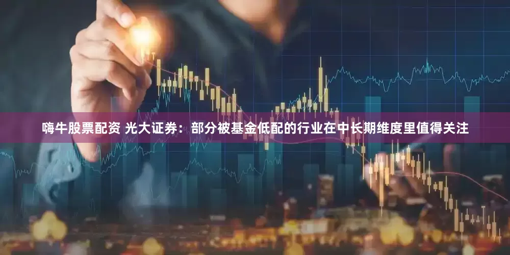嗨牛股票配资 光大证券：部分被基金低配的行业在中长期维度里值得关注