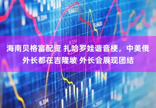 海南贝格富配资 扎哈罗娃谐音梗，中美俄外长都在吉隆坡 外长会展现团结