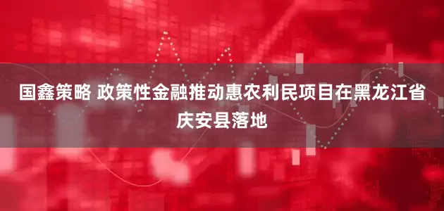 国鑫策略 政策性金融推动惠农利民项目在黑龙江省庆安县落地