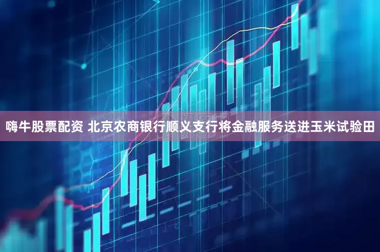嗨牛股票配资 北京农商银行顺义支行将金融服务送进玉米试验田